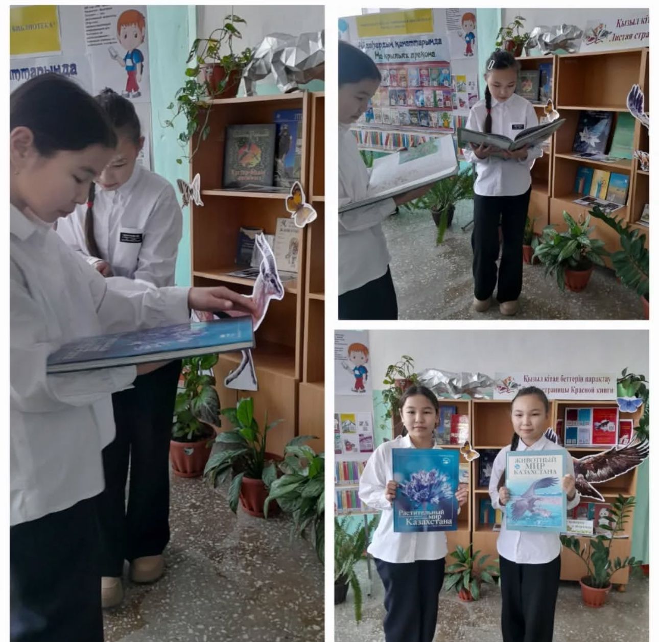 Выставка "Листая страницы Красной книги"