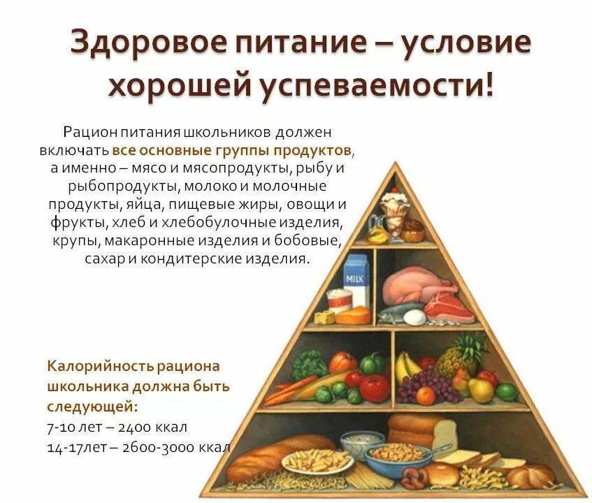 Здоровое питание-условие хорошей успеваемости